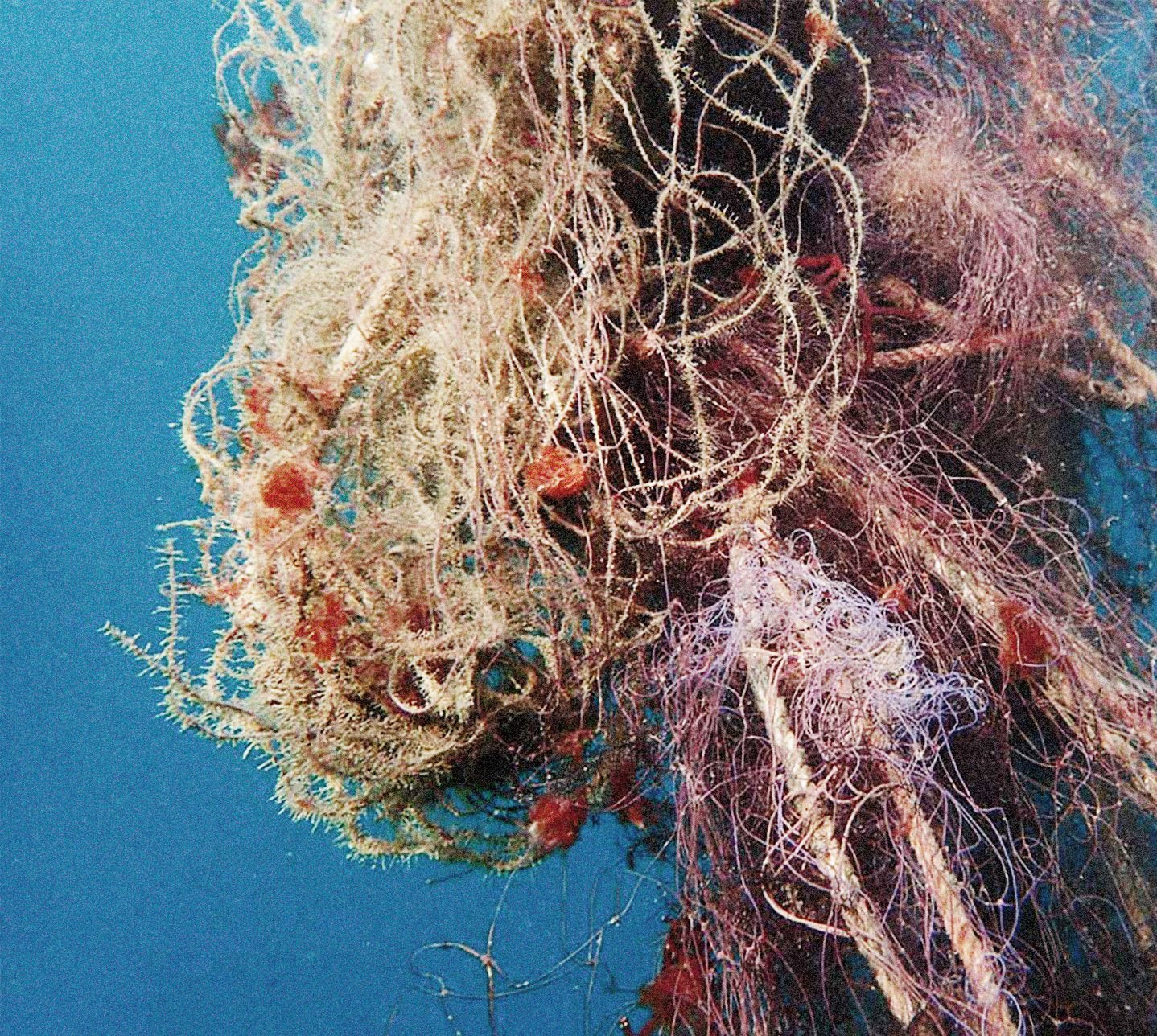 Swimwear made from fishing nets on sale