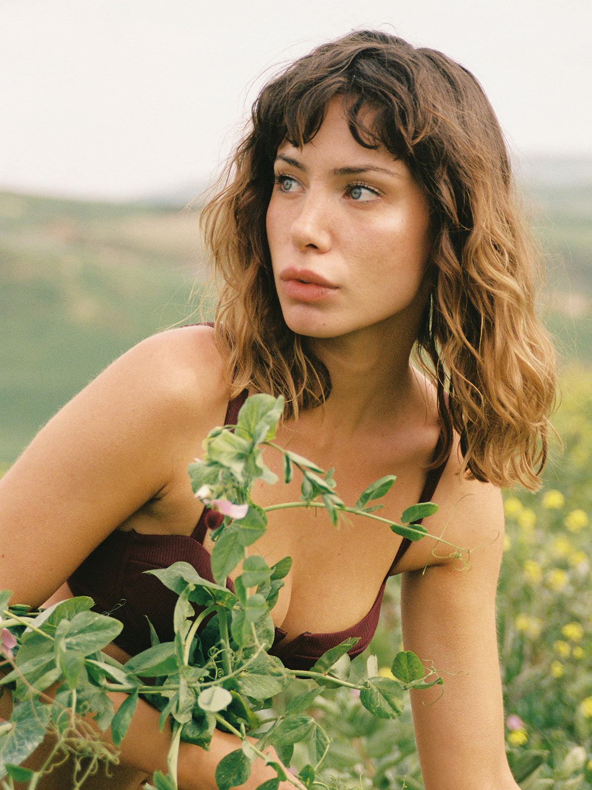 SVEA BIKINI TOP - Vino Ribbed